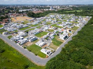 DJI_0871